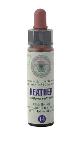Heather princeps fiori - 14,