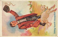 Vedva toerv bambino agnello