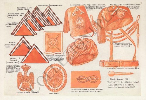 Cartolina publicard 307 - publicard,
