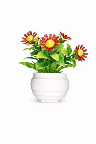 Mini vaso fiori margherita
