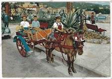 GENOVA RAPALLO 175 GIOCHI BAMBINI - PONY Cartolina VIAGGIATA 1969