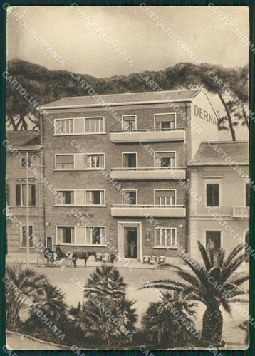 Lucca viareggio calesse foro - viareggio,