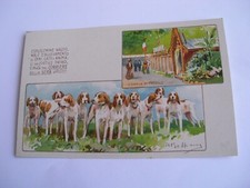 Milano - Esp. Naz. d'allevamento di cani gatti animali da cortile non sp f. p. 