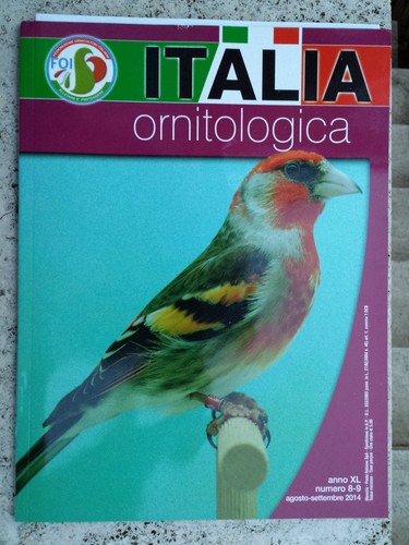 Italia ornitologica 9 - ornitologica, n.8-9