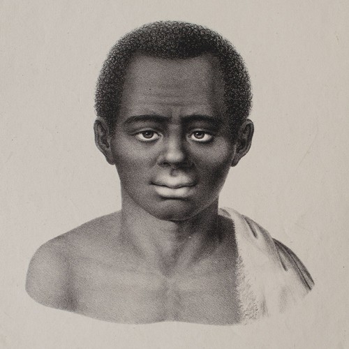 Joseph brodtmann ritratto - brodtmann,