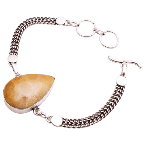 Fossil corallo gemma placcato - gemma,