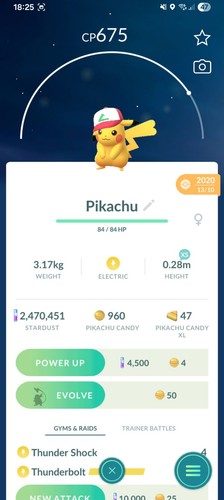 Costume pokemon pikachu - pokemon,