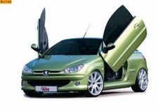 LSD Lambo Doors Porte A Falco