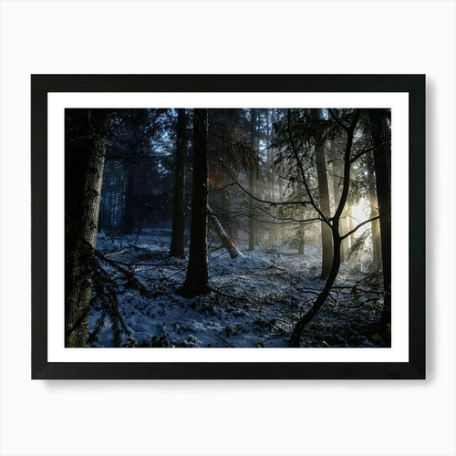 Stampa artistica foresta