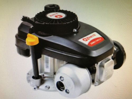 Motore benzina zanetti zbmv - ,