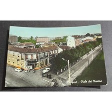 Cartolina Borgaro - Viale dei