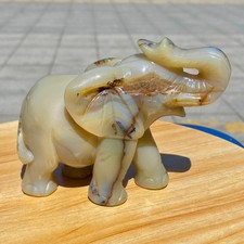 Elefante cristallo intagliato