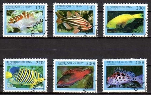 Animali pesci benin 1999 - animali,