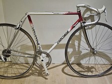 Forcella Concorde Astore 54 cm