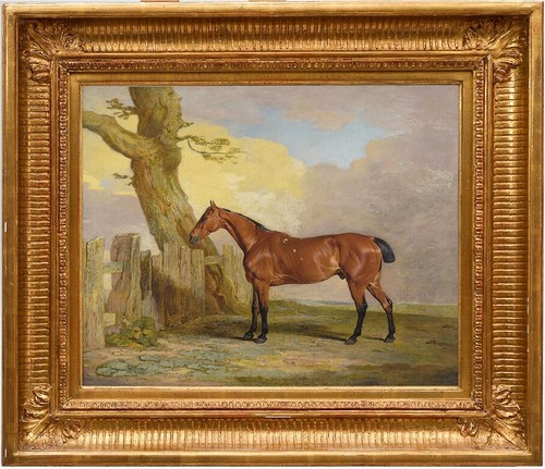 Dipinto olio mano - ad,