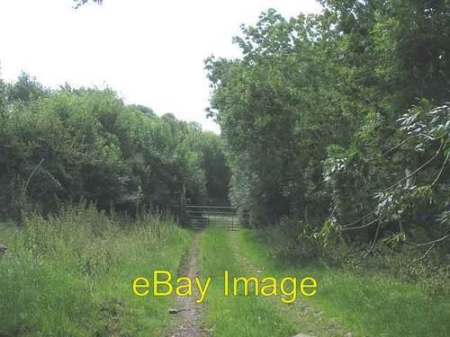 Photo 6x4 green lane - 6x4, near