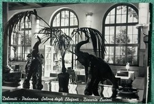 Pedavena. Salone degli