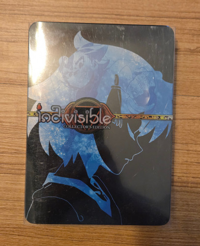 Indivisible kickstarter - indivisible,