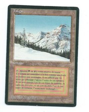 Magic MTG 1x Taiga FBB Foreign