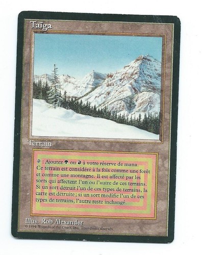 Magic mtg taiga fbb - mtg, 1x
