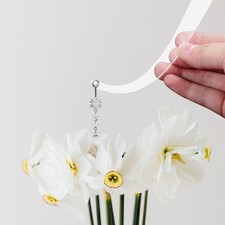  6 Pcs Espositore Orecchini