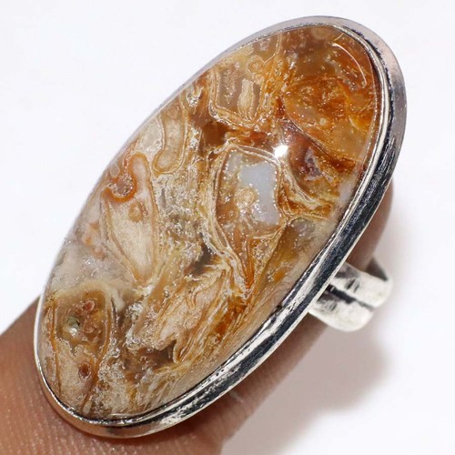 Anello rock fossil - anello,
