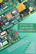 Riparazione Centraline