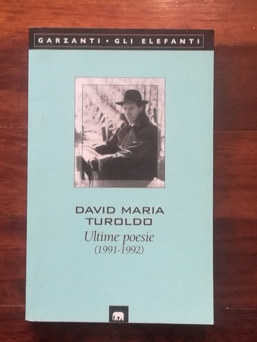 David maria turoldo - david,