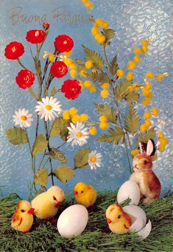 Cartolina buona pasqua pulcini - buona,