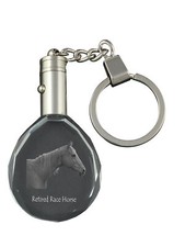 Cavallo da corsa in pensione