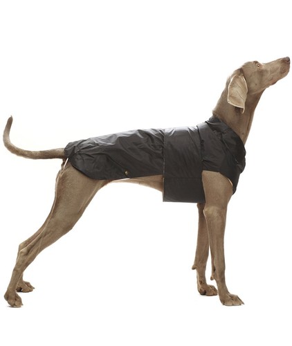 Cappotto impermeabile per - , cani