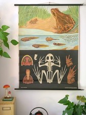 VINTAGE | CARTOLINA DA PARETE