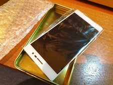 Huawei Ascend P6  Vetro