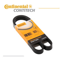 CINGHIA PV SERVIZI ALTERNATORE