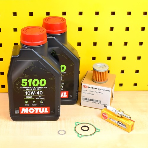 Kit cambio olio filtro olio