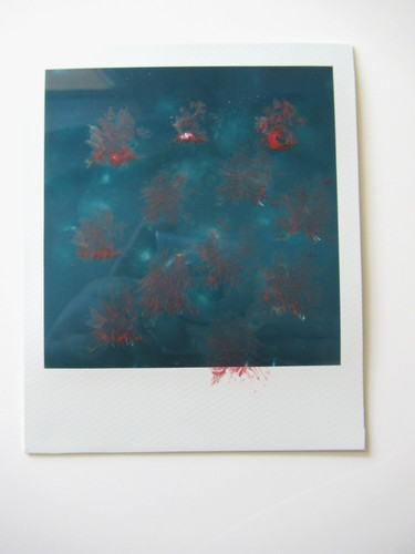 Araki polaroid originale - n.,