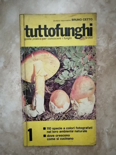 Bruno cetto tutto - tutto, funghi