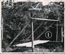 1952 Stampa Foto Lettino da