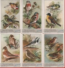 FIGURINE LIEBIG SERIE COMPLETA N°1747 UCCELLI CANTORI EUROPEI 1°SERIE  ANNO 1960