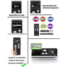 Registratore Vocale Dictaphone