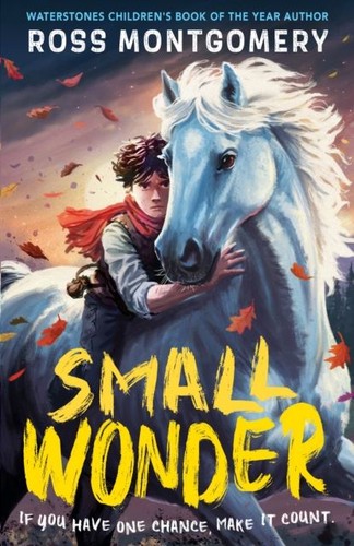 Small wonder ross - small,