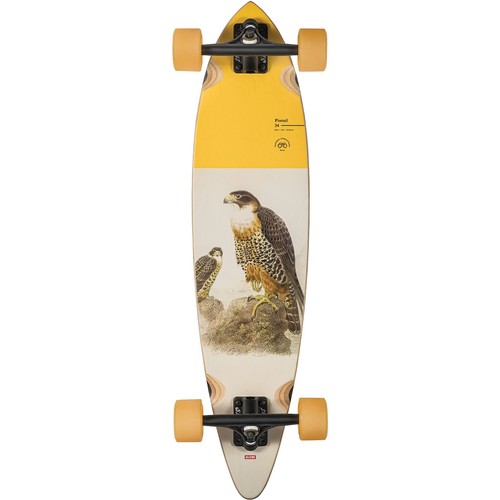 Globe skateboards pintail - globe, 34