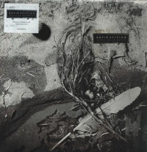 David sylvian secrets - secrets, of