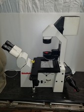 Leica Microscopio Invertito