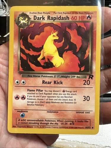 Pokémon dark rapidash team - pokémon,