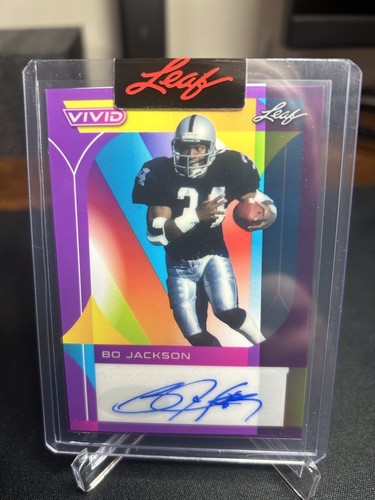 2023 foglia livida jackson - livida, bo