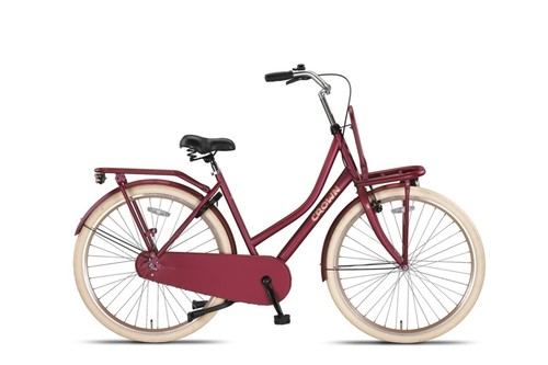 Bicicletta olandese bicicletta