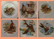 Servizio piatti piani