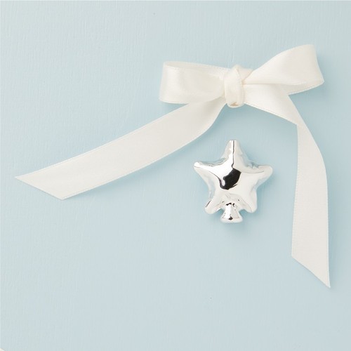 Calamita stella silver argento