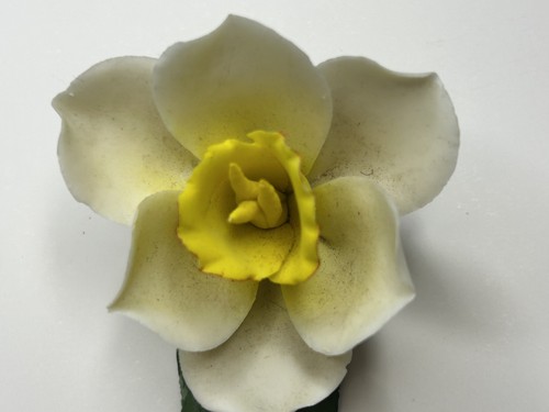 Fiore narciso porcellana - di,